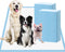SCLOSE Extra Large Pee Pads for Dogs, 36"x36" 30 Counts Puppy Pads XL,