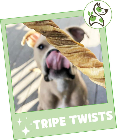 Nature Gnaws Tripe Twists for Dogs, 4-5" (10 Count) - Crunchy Grain Free Natural Beef Dog Chew Treats