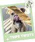 Nature Gnaws Tripe Twists for Dogs, 4-5" (10 Count) - Crunchy Grain Free Natural Beef Dog Chew Treats