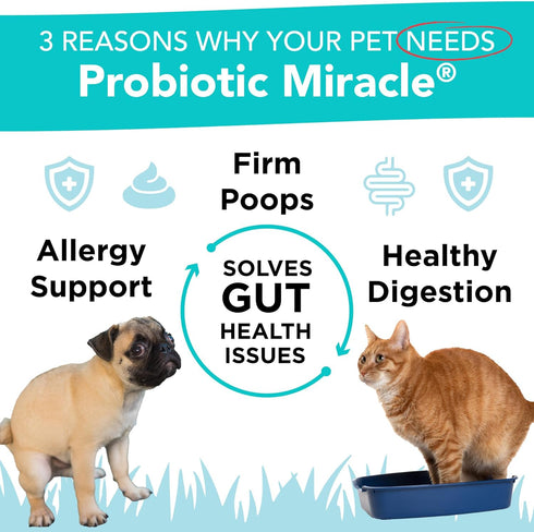 Probiotics for Cats & Dogs: Probiotic Miracle for Digestive Health, Stop Diarrhea & Loose Stool
