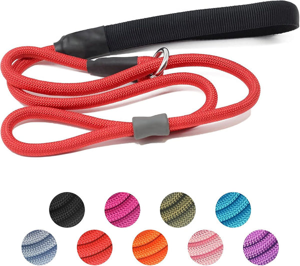 Strong Slip Rope Dog Training Leash 4ft, Heavy Duty Braided Nylon Lead with Padded Handle for Medium Large Dogs