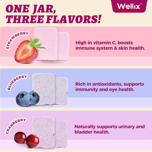 4.23oz Immune Wellix Natural Freeze-Dried Snacks for Dog & Cat - Triberry Yoggy Cat Yogurt Treats with Chicken Flavor