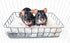 JSLZF Rat Bed, Cage Platform Accessories, Metal Ferret Hammock with Mat, Chew Proof
