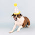 Fringe Studio Plush Dog Toy, Time to Celebrate, Pet Shop Collection (314225)