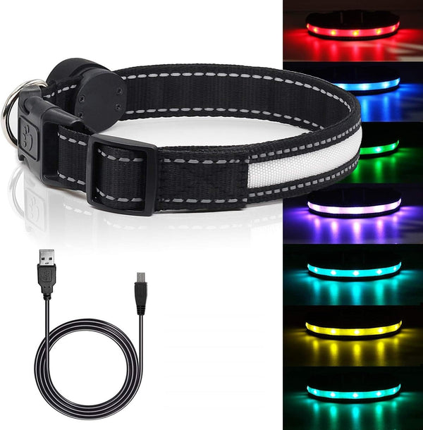 Light Up LED Dog Collar, Rechargeable Safety Glow in the Dark, Adjustable for Small/Medium/Large Dogs, L Size