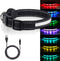 Light Up LED Dog Collar, Rechargeable Safety Glow in the Dark, Adjustable for Small/Medium/Large Dogs, L Size