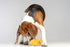 Squeaky Dog Plush Toy, Bite_Stick Collection, 8'', for Small and Medium Dogs (Carrot)