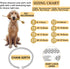 Cuban Link Dog Collar, Gold Silver Metal Chain, Cuban Diamond Pet Collars for Dogs Cats, Jewelry 8/10/14/16/18/20/24/28