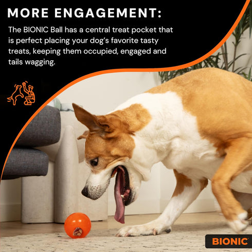 BIONIC Ball Dog Toy, Medium, Interactive Chew Toy for Tough Chewers, for Dogs 15-35 lbs. (7-15 kg.)