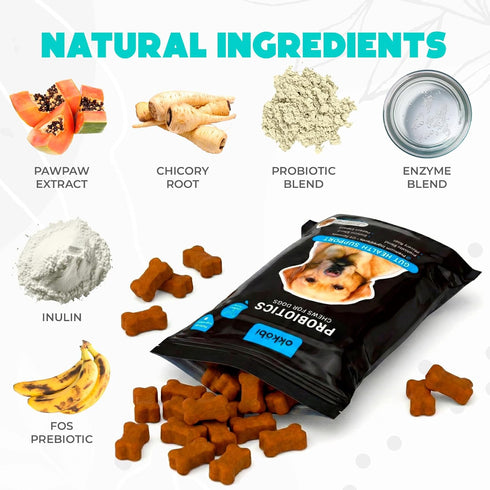 60 Probiotics for Dogs Chews Pcs - Digestive, Gut Health & Diarrhea Support - Chews for Dogs - US Formula