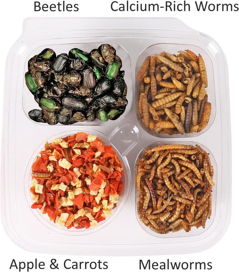 Hedgehog Treat Variety Pack - Healthy Natural Treat Assortment, Dried Mealworms, Black Soldier Fly Larvae & More