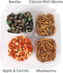 Hedgehog Treat Variety Pack - Healthy Natural Treat Assortment, Dried Mealworms, Black Soldier Fly Larvae & More