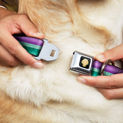 Dog Collar Seatbelt Buckle Little Mermaid Stripe Shell Purple Green Gold, 1.0 Inch Wide, Fits 9 to 15 Inches