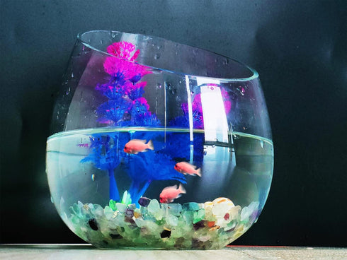 Crystal Fluorite Vase Filler, 0.22lbs, Polished Healing Chips for Fish Tank Gravel and Succulent Plants.