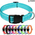 Dog Collar with Buckle, Breathable Nylon Reflective Adjustable Collars for Small, Medium, Large Dogs (Sky Blue/Large)