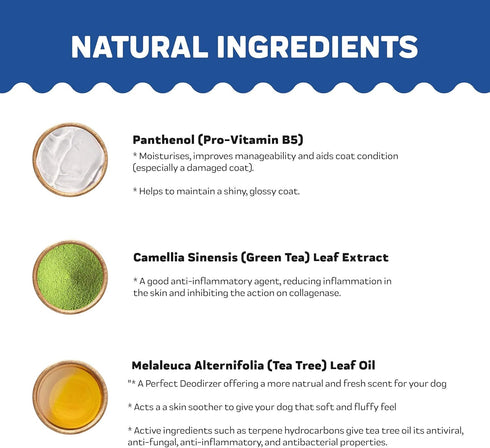 Innovet Pet Products All Natural Oatmeal & Honey Shampoo + Conditioner for Dogs, Cats & Small Pets - 16 Oz, Made in USA