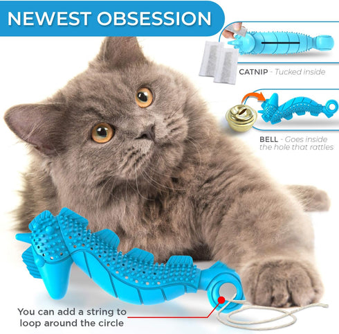 Ronton Cat Toothbrush Catnip Toy, Durable Hard Rubber Dental Care, Interactive Chew Toy (1 Pack - Seahorse)