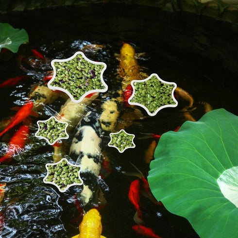 5pcs Aquarium Floating Plant Rings, Foam Flower Shaped Fish Feeding Rings, Duckweed Food Ring for Fish Tank (White)