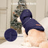 Fleece Lining Extra Warm Dog Hoodie for Small Dogs, Winter Jacket with Hood, Blue, M