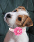 Rhinestone Dog Collar for Small Medium Dogs, Pink Flower Puppy Collar for Spring Summer Weddings