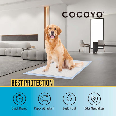 COCOYO Best Value Dog Training Pads, 30 Count Super Absorbent Puppy Pads