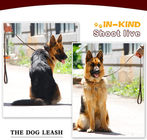 Leather Dog Leash - Durable Braided Training Leash, Heavy Duty Genuine Leather for Large Medium Small Dogs (5FT*2/5",