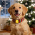 LaRoo Christmas Day Dog Lights for Night Walking,Led Dog Collar Lights for Nighttime Clip On Light up Dog Collar