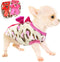 2 Pieces Chihuahua Sweater - Dog Sweater for Small Dogs, Teacup Clothes for Extra Small Dogs, Warm Winter Clothing (XS)