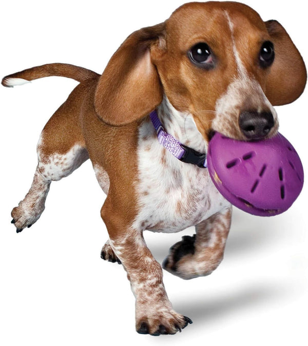 PetSafe Busy Buddy Twist 'n Treat Dispensing Dog Toy, Small
