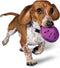 PetSafe Busy Buddy Twist 'n Treat Dispensing Dog Toy, Small