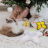 2 AFP Interactive Cat Toy, Butter-Fly Interactive for Indoor Cats, Flutter Bug Cat Toys, Flutter Rotating Kitten Toys