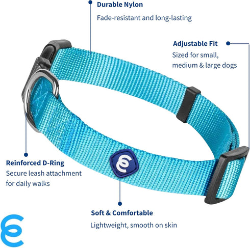 Blueberry Pet Essentials Turquoise Dog Collar, Adjustable Eco-Friendly Nylon Strap, 12-16 Inches, Small Dogs