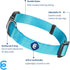 Blueberry Pet Essentials Turquoise Dog Collar, Adjustable Eco-Friendly Nylon Strap, 12-16 Inches, Small Dogs