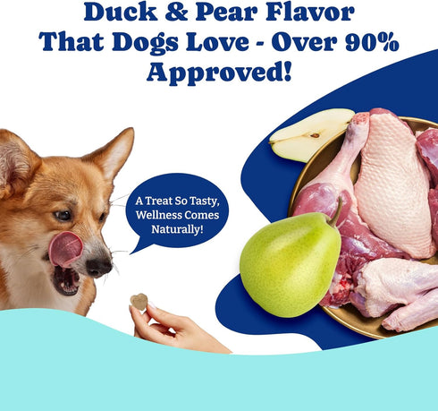 Immune 120 Count Milk Thistle Liver Support Chews for Dogs Soft Chews with NAC, Curcumin, Choline & Dandelion Supports