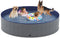 Niubya Foldable Dog Swimming Pool - Collapsible Hard Plastic Bath Tub for Pets, 72 x 12 Inches