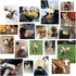 Pet Dog Classic Knitwear Sweater - Warm Winter Puppy Coat for Small Dogs (XS, Khaki)
