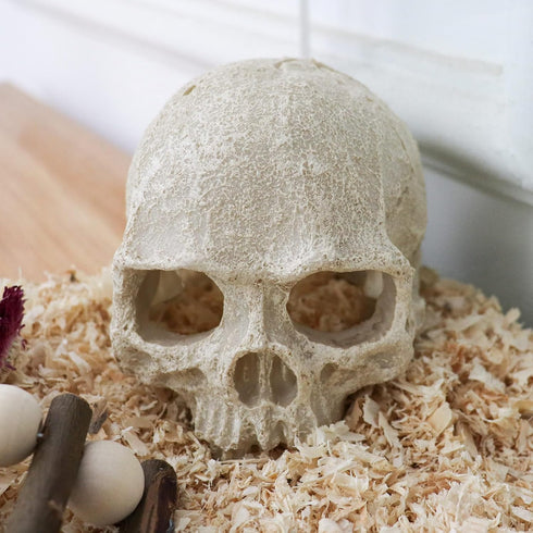 Reptile Aquarium Skull Decor, Snake Hideout Resin Skeleton Head Fish Hide, 4.7 × 3.5 × 3.7 Inch
