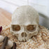 Reptile Aquarium Skull Decor, Snake Hideout Resin Skeleton Head Fish Hide, 4.7 × 3.5 × 3.7 Inch