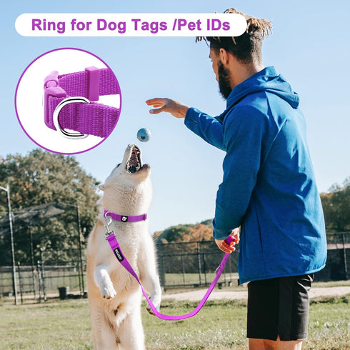 azuza 3 Pack Dog Collars, Comfortable Adjustable Nylon Collars for Small Dogs, XS (8-12inch), Pink, Hot Pink, Purple