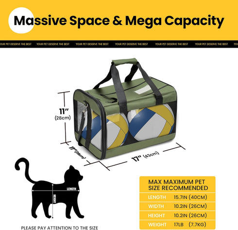 Airline Approved Cat Carrier, Soft-Sided Dog Carrier with Inner Safety Leash for Small-Medium Cats & Puppies up to 15
