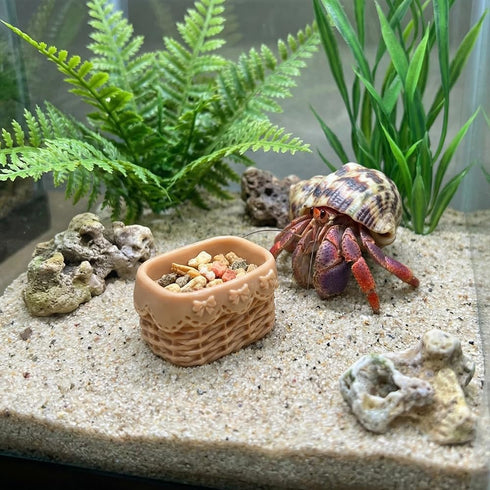 DQITJ 6 Pcs Jumping Spider Water Bowl Food Dish Micro Basket Decor for Hermit Crab Tarantula Snail Millipede Small