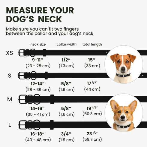 BRONZEDOG Rolled Leather Dog Collar for Small Medium Large Dogs with QR ID Tag (XS: 9-11 Inch, Glossy Black)