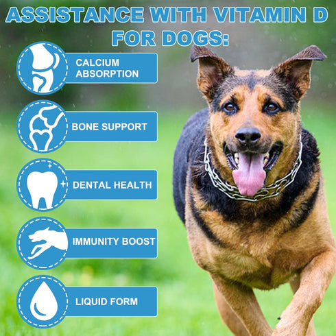 FSLHCY 2 Oz Immune Dog Vitamins D Supplements Fl Liquid Vitamin D for Dogs Strong Bones& Structural Support, Promote