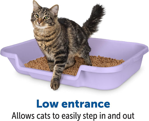 KittyGoHere Senior Cat Litter Box - 1 Pack Large Storybook Lavender Low Entrance, Perfect for Senior Cats