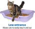 KittyGoHere Senior Cat Litter Box - 1 Pack Large Storybook Lavender Low Entrance, Perfect for Senior Cats