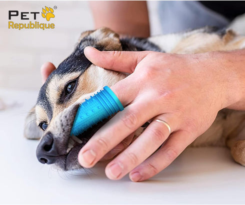 Pet Republique 360 (3-Count 1-Storage Degree Finger Toothbrush for Dogs and Cats Full Surround Silicone Bristles