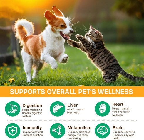 IRSRDOQU 11 Immune 120g Mushroom Supplement Powder for Dogs & Cats, Beneficial Mushroom Complex for Support, Cellular
