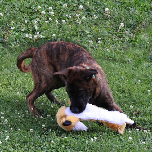 SPOT Skinneeez Extreme Quilted Fox Dog Toy, Durable, Stuffing Free, 4 Layers, 2 Squeakers, Ideal for Medium and Large