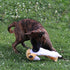 SPOT Skinneeez Extreme Quilted Fox Dog Toy, Durable, Stuffing Free, 4 Layers, 2 Squeakers, Ideal for Medium and Large