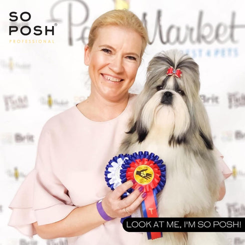 So Posh Look at Me Dog Detangler Spray Dematting - Bi-Phase Brushing Spray, Effortlessly Detangles & Softens, Time-Saving, Free of Silicone & Parabens, 8.4 Oz